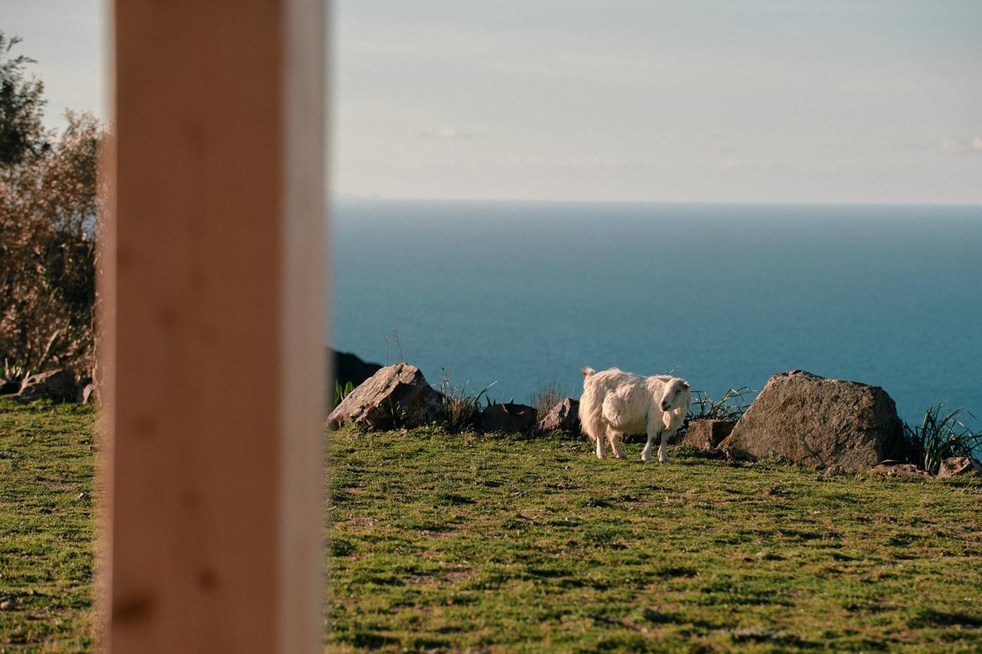 New Suites Sea View Sardinia, Castelsardo Exteriér fotografie